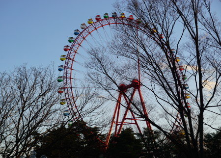DSC02266 (1)