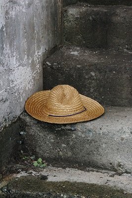 IMGP7899