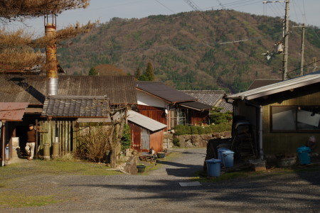 IMGP4693
