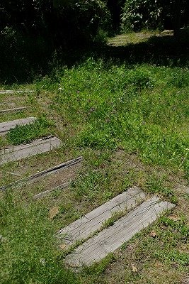 4002014年05月 159