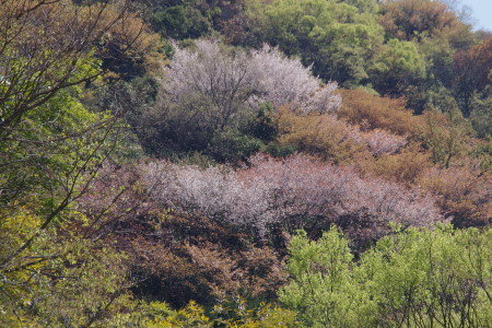 IMGP4722