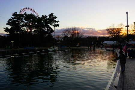 DSC02270 (1)