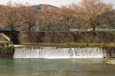 IMGP4704