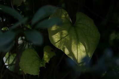 400-2013年10月 057