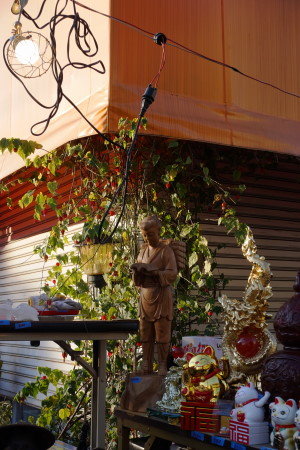 DSC02652 (1)