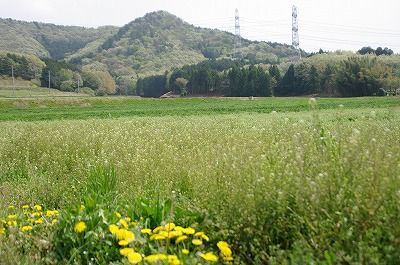 400-2013年4月益子 135