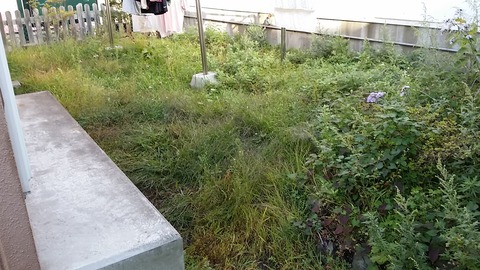 20140923_145848