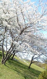 b8f938b6.jpg