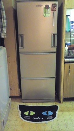 fridge