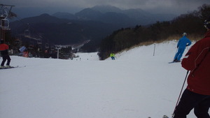 NEC_0888