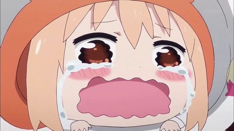 55440301
