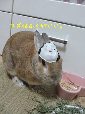 ユズ2