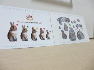 ひーこさん2