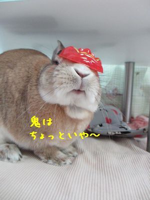 ユズ1