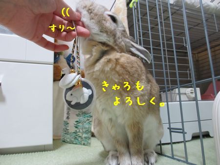 ユズ6