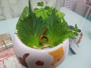 ユズサラダ1