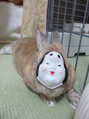 ふくユズちゃん