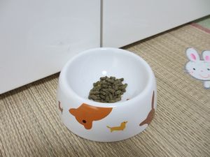 ユズプレゼント1