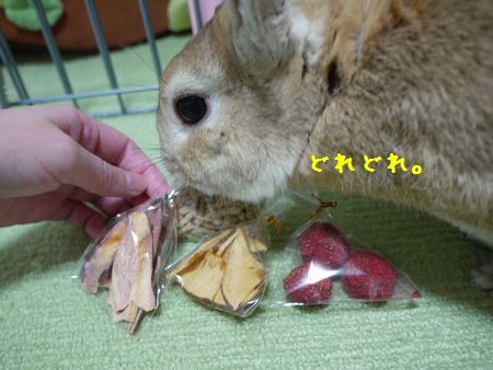 ユズ2