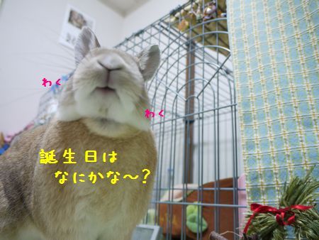 ユズ