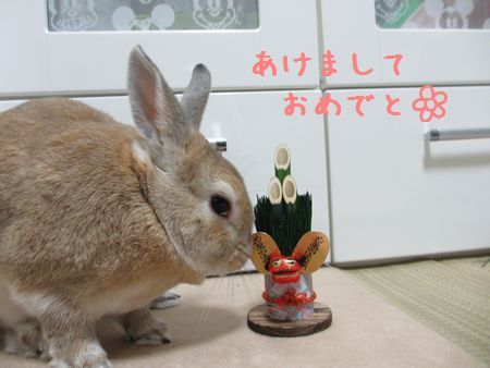 ユズ1