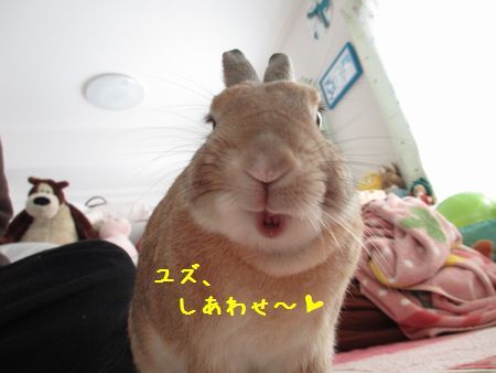 ユズ1
