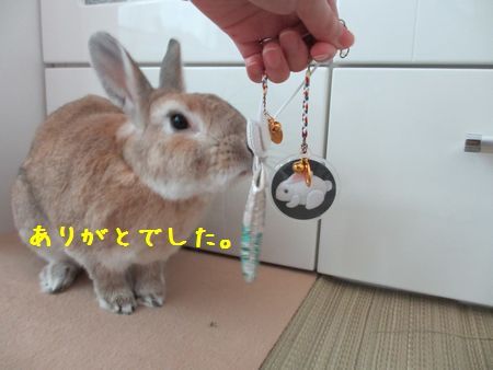 ユズ2