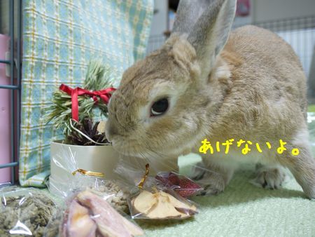ユズ3