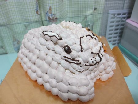 ユズケーキ1
