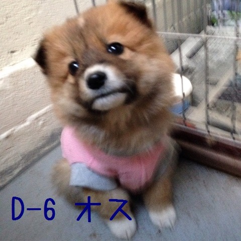 D-6