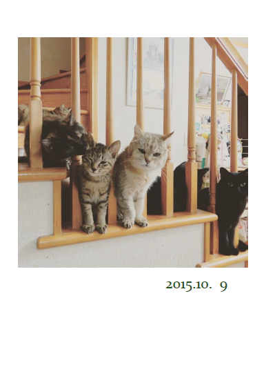 1009