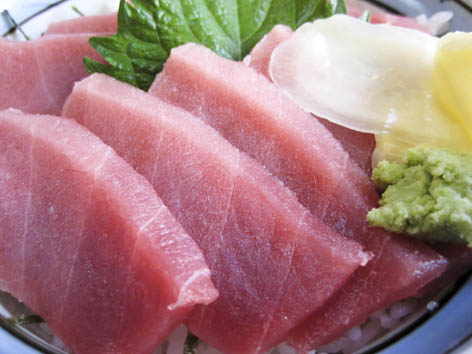 Hogyo-2