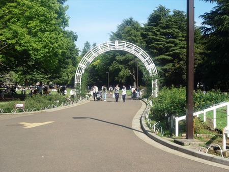 10バラ園