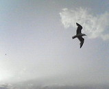 7d2379e2.jpg