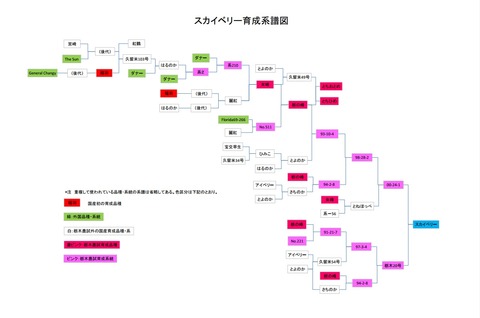 スカイベリー系譜図
