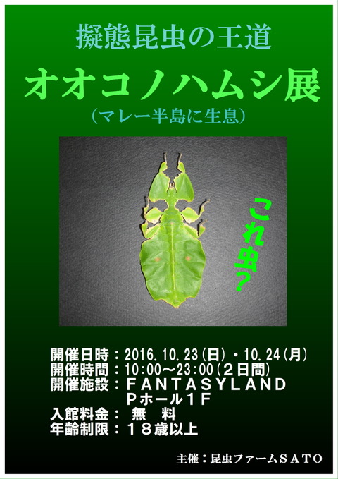 コノハムシ展