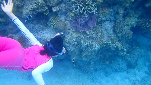 P7090940(1)