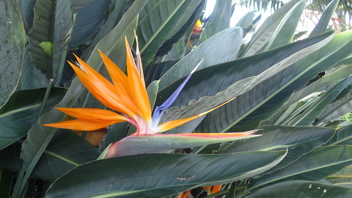 P7101000