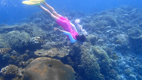 P7090931(1)