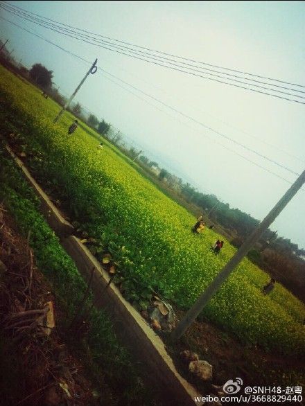 daade500jw1epezvb6m26j20k10qon0r