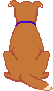 犬後姿