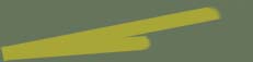 YellowV.jpg