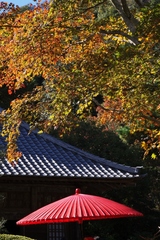 鎌倉