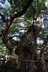 四国