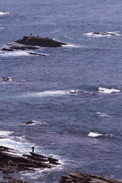 宮崎・鹿児島