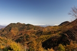 山王林道1