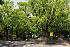 宮崎・鹿児島