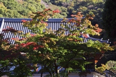 鎌倉