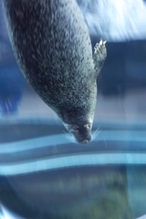 北海道7