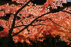 秋田・青森
